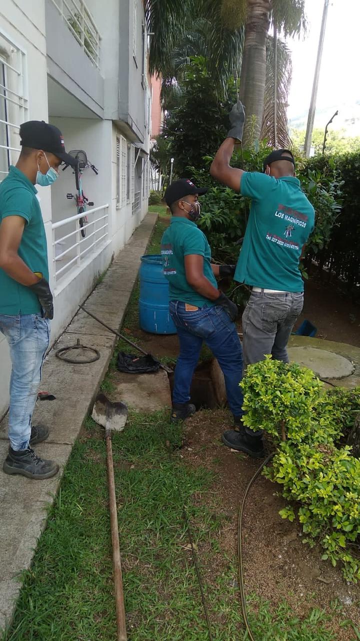 Galería - Trabajo 4